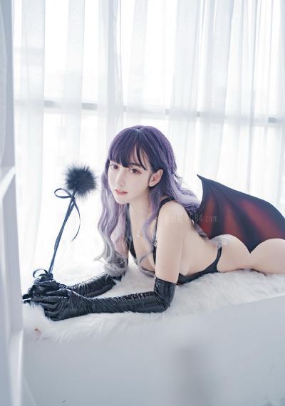 帝皇铠甲