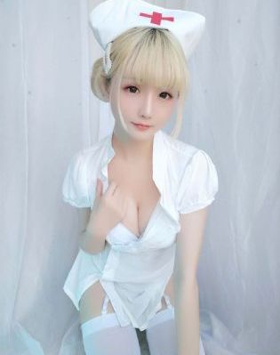 文豪野犬第季第五季