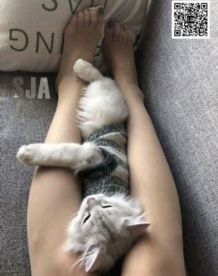 啊～桃子怎么这么大