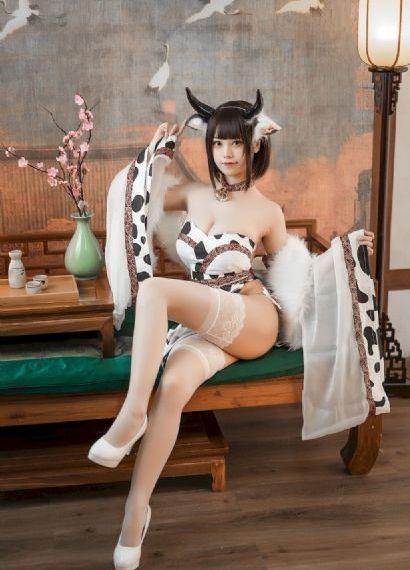 倒插门电视剧免费观看完整版