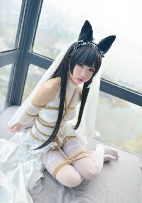梦回40集电视剧免费观看