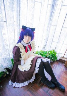 食物链完整版